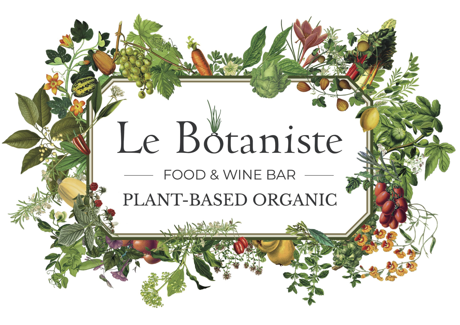 Le Botaniste | Food and Wine Bar | Plant-based Organic | Belgium