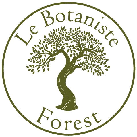 LB forest icon 07