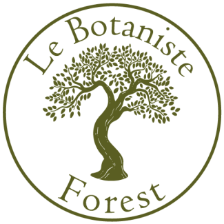 LB forest icon 07 LB forest icon 07